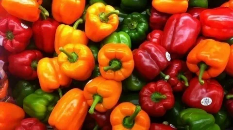 تصویر 4 از راهنمای خرید فلفل دلمه ای شیرین + قیمت عالی